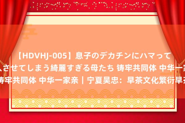 【HDVHJ-005】息子のデカチンにハマってしまい毎日のように挿入させてしまう綺麗すぎる母たち 铸牢共同体 中华一家亲｜宁夏吴忠：早茶文化繁衍早茶经济