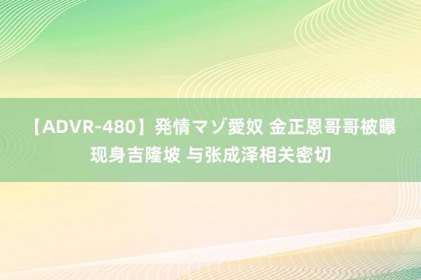 【ADVR-480】発情マゾ愛奴 金正恩哥哥被曝现身吉隆坡 与张成泽相关密切