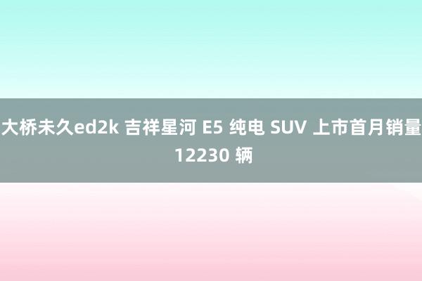 大桥未久ed2k 吉祥星河 E5 纯电 SUV 上市首月销量 12230 辆