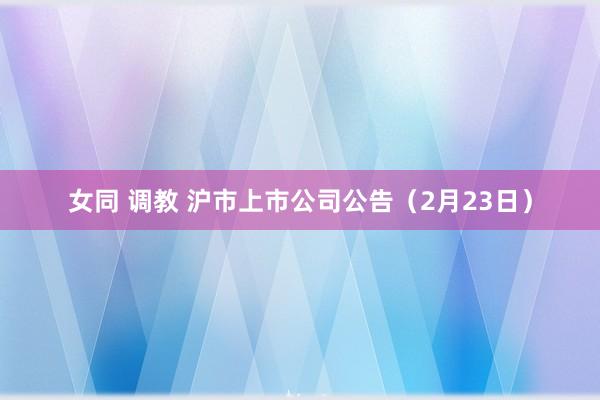 女同 调教 沪市上市公司公告（2月23日）