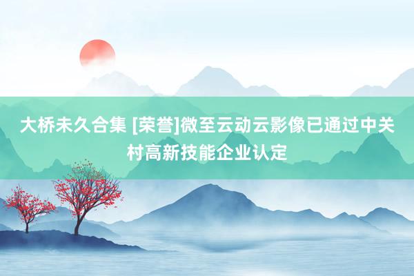 大桥未久合集 [荣誉]微至云动云影像已通过中关村高新技能企业认定