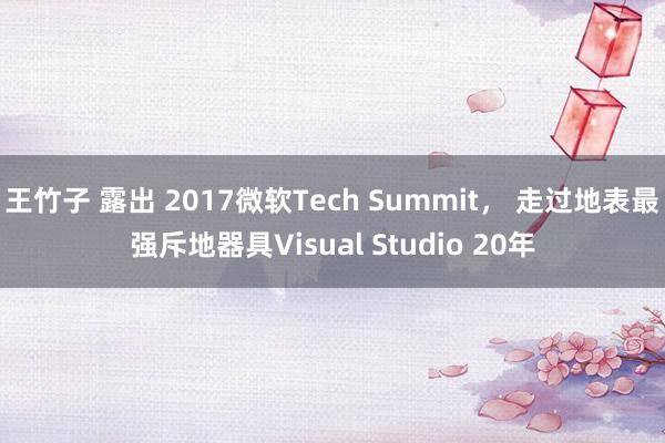 王竹子 露出 2017微软Tech Summit， 走过地表最强斥地器具Visual Studio 20年