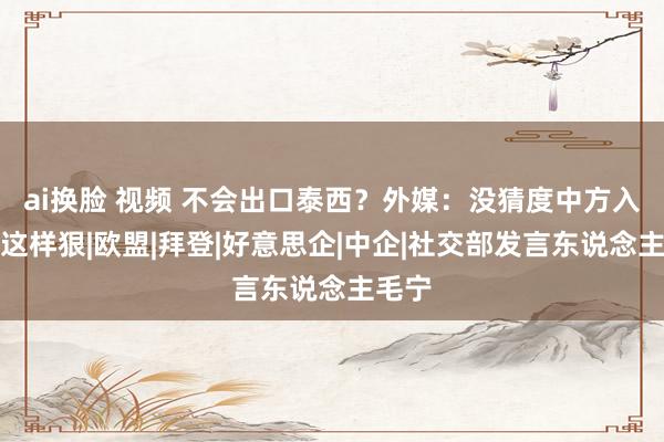 ai换脸 视频 不会出口泰西？外媒：没猜度中方入手会这样狠|欧盟|拜登|好意思企|中企|社交部发言东说念主毛宁