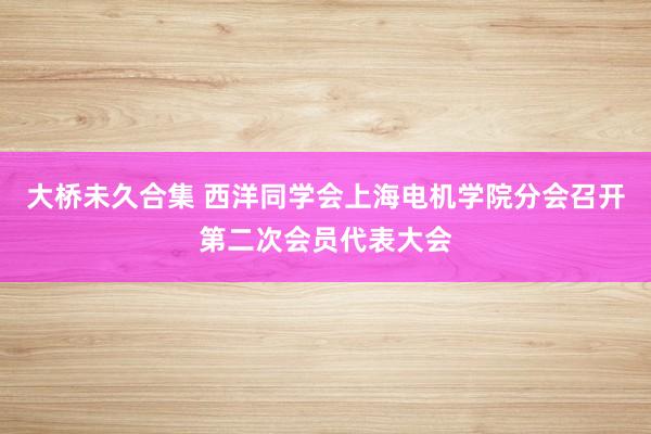 大桥未久合集 西洋同学会上海电机学院分会召开第二次会员代表大会