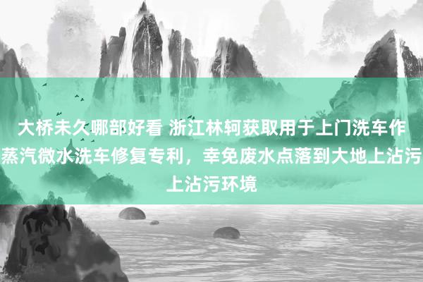 大桥未久哪部好看 浙江林轲获取用于上门洗车作事的蒸汽微水洗车修复专利，幸免废水点落到大地上沾污环境