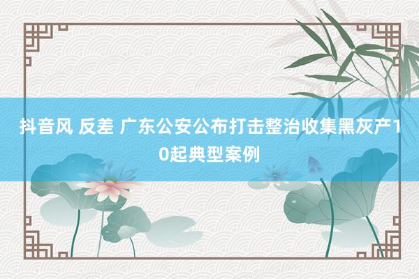 抖音风 反差 广东公安公布打击整治收集黑灰产10起典型案例